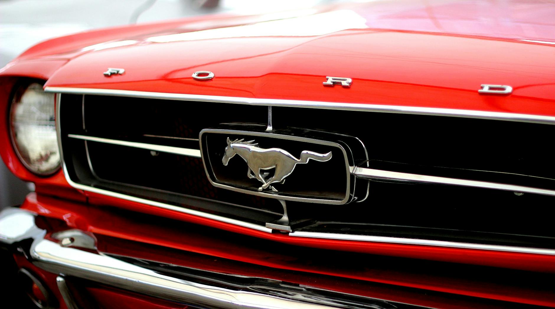 Cattle Transportation Industry Logo Design Ideas