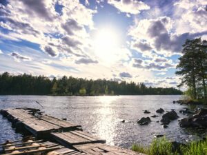 How to Get Clients for Your Health and Safety Pet Waste Business