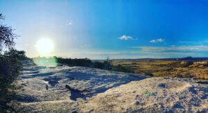 How to Create Earth Day Awareness Event Logo