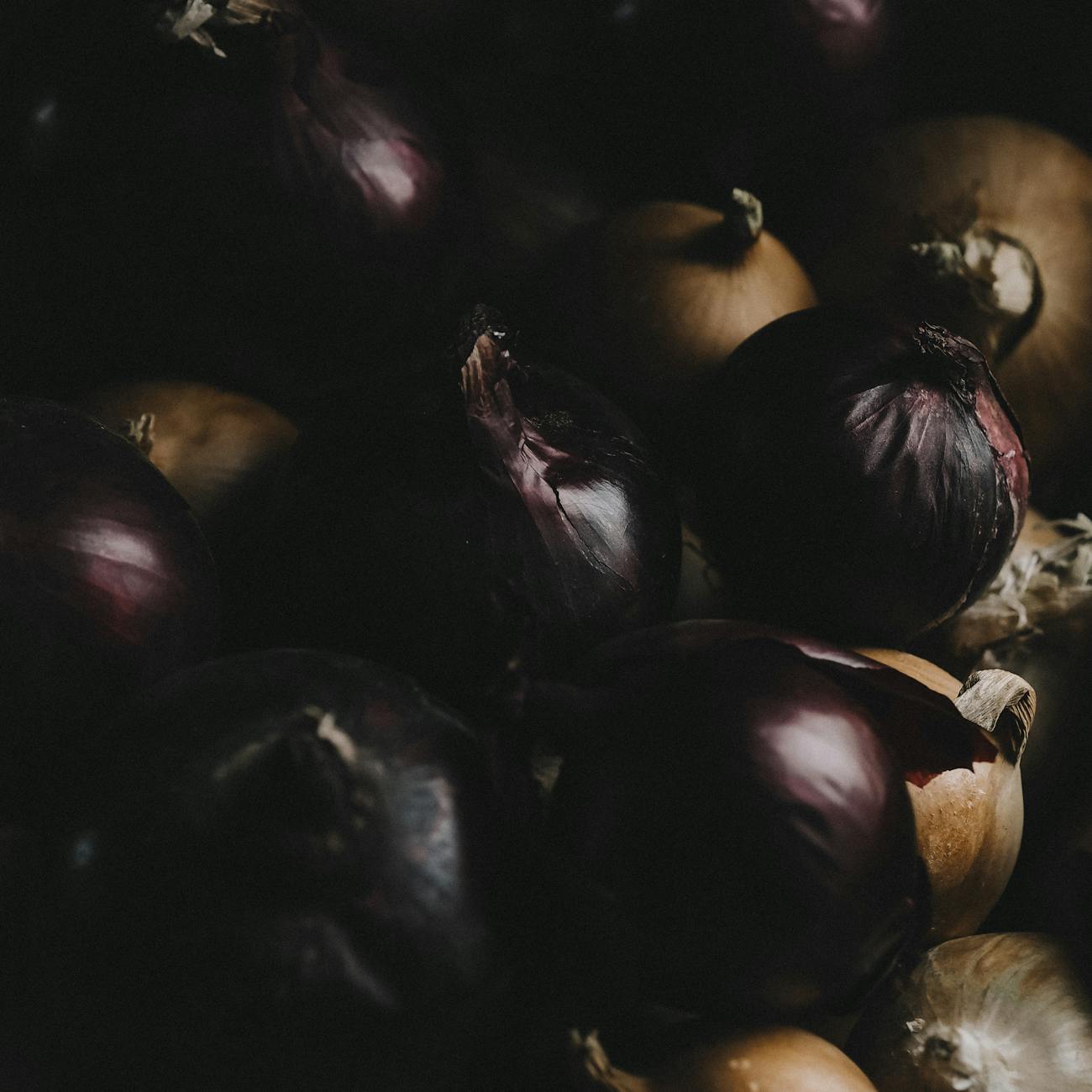 How to Create Root Vegetable Industry Logo