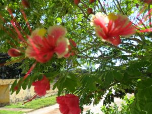 How to Get Clients for Your Oil Recovery Business