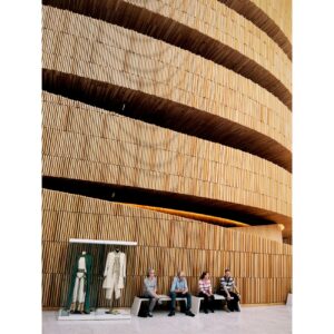 Cinematic Exhibition Industry Logo Design Ideas