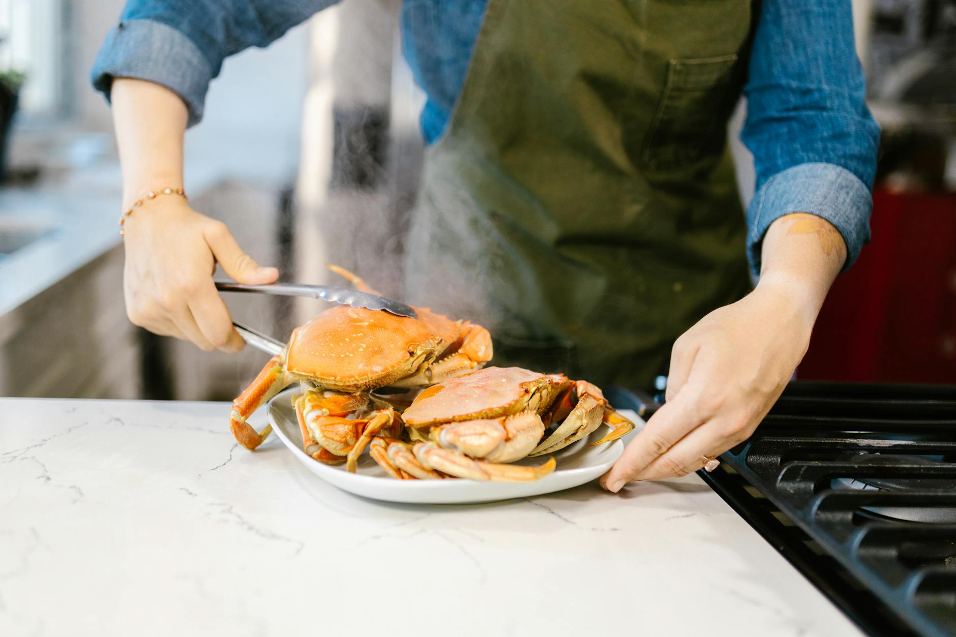 Gourmet Meal Industry Logo Design Ideas