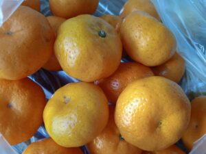 Fashion Sustainability Conference Event Logo Design Ideas