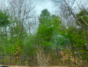 How to Get Clients for Your Agricultural Manufacturing Business