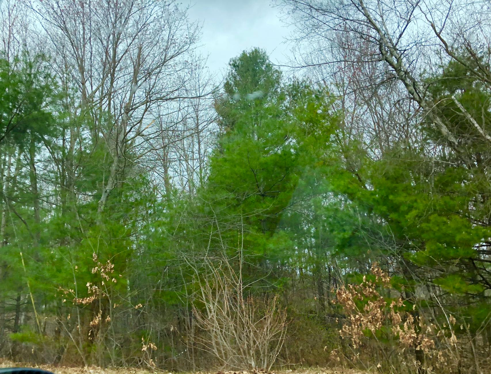 How to Get Clients for Your Agricultural Manufacturing Business