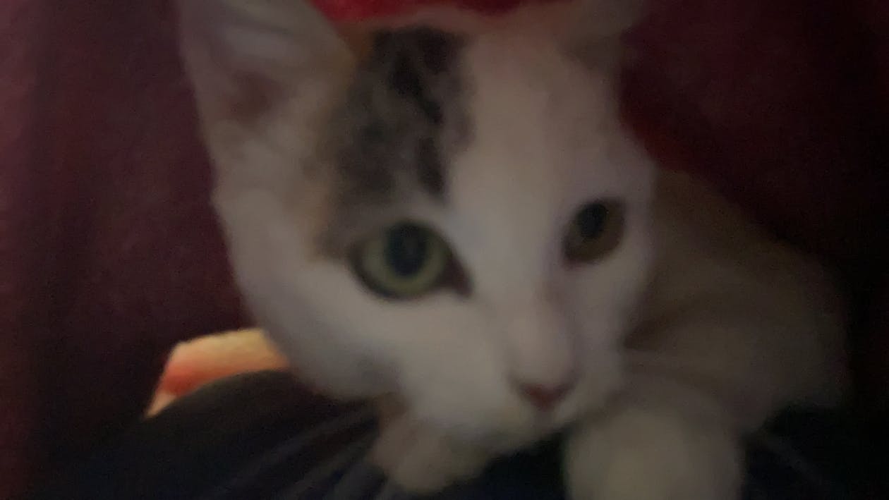 How to Get Clients for Your Liver Health Supplements Business