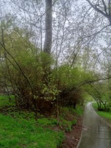 Retro Gaming Industry Logo Design Ideas