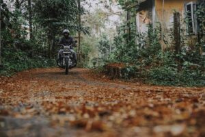 How to Get Clients for Your Curatorial Business