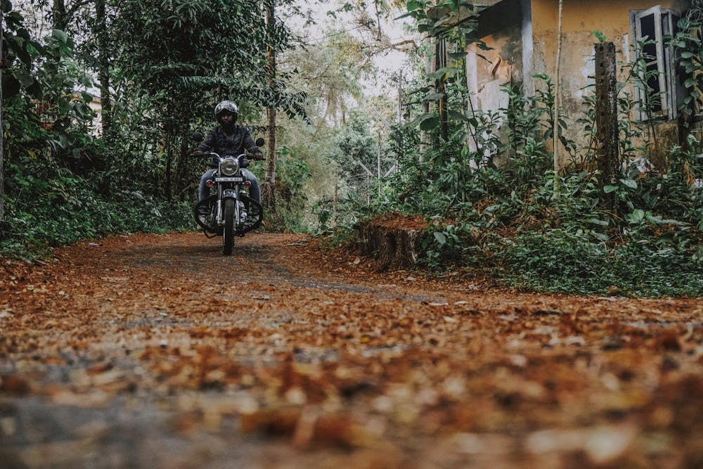 How to Get Clients for Your Curatorial Business