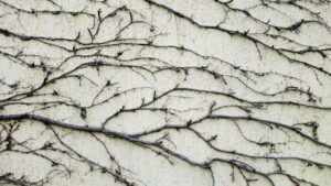 Climbing Wall Maintenance Industry Logo Design Ideas