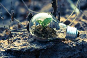 Air Purifying Plant Industry Logo Design Ideas