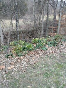 How to Get Clients for Your Soap Business