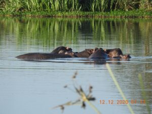 Digital Art Style Logo Design Ideas