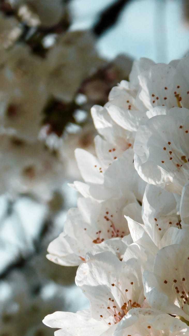 How to Get Clients for Your Air Ambulance Charter Business