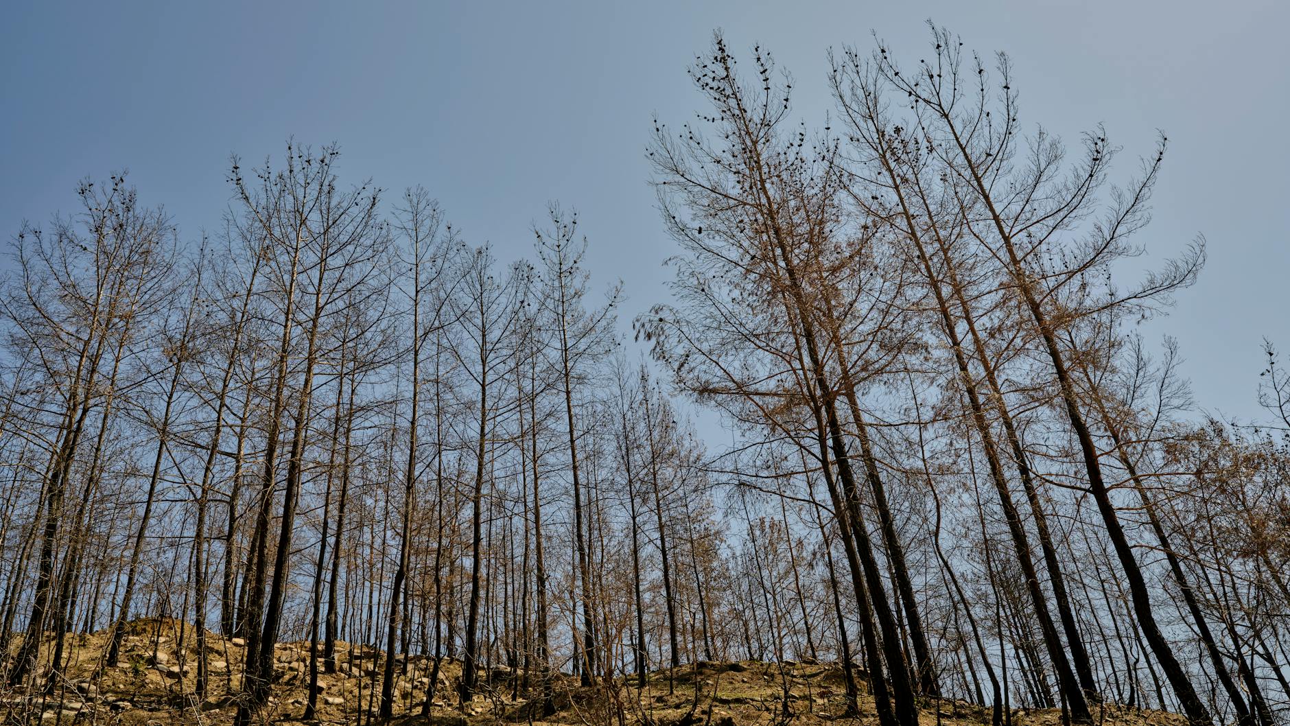 How to Get Clients for Your Smoke Damage Restoration Business