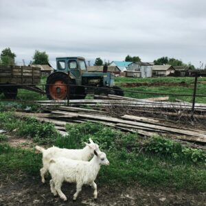 How to Create Goat Farming Industry Logo