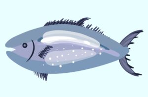 How to Get Clients for Your Extruded Polystyrene Business