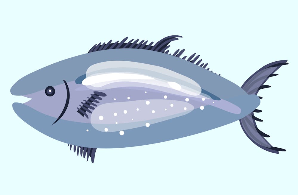 How to Get Clients for Your Extruded Polystyrene Business