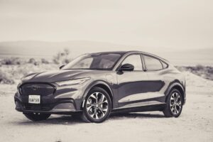 How to Create Desert Boho Style Logo