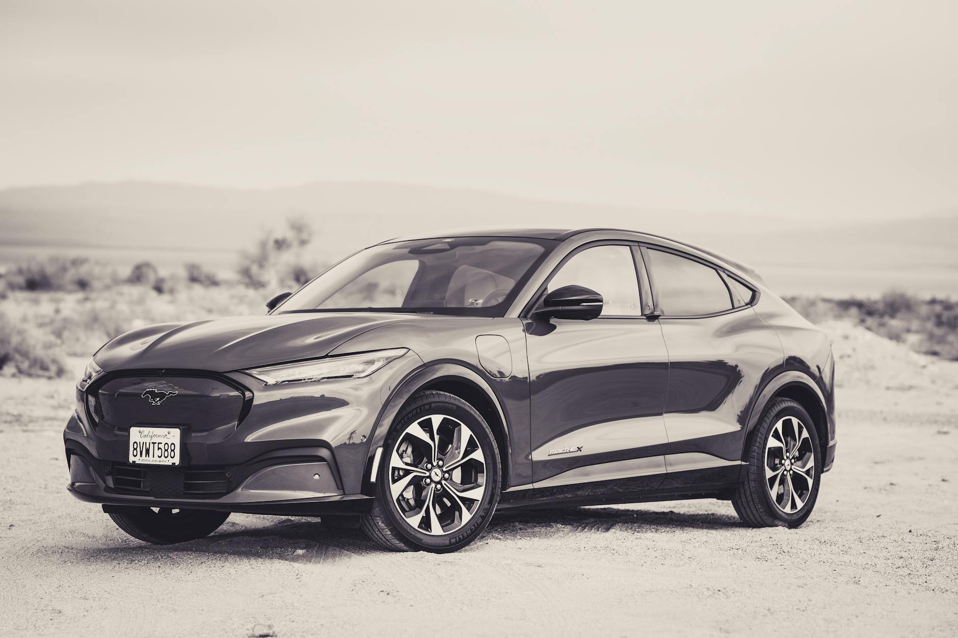 How to Create Desert Boho Style Logo