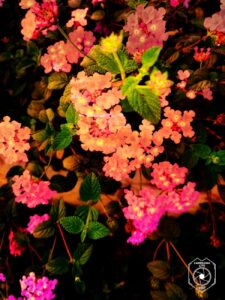 Rheumatology Practice Management Industry Logo Design Ideas