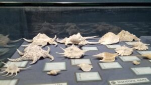 How to Create Rice Milling Industry Logo