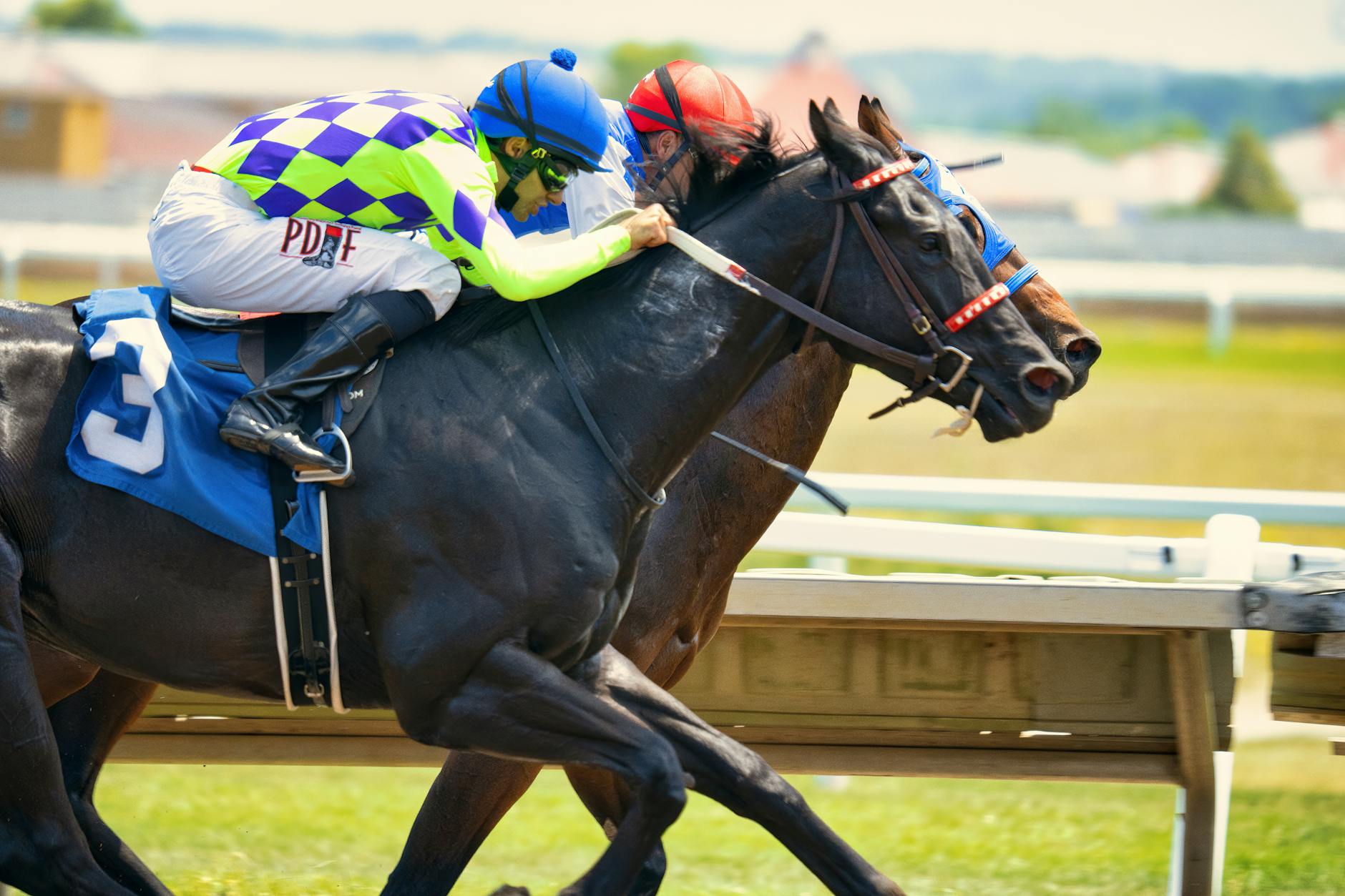 How to Get Clients for Your Thoroughbred Racing Business