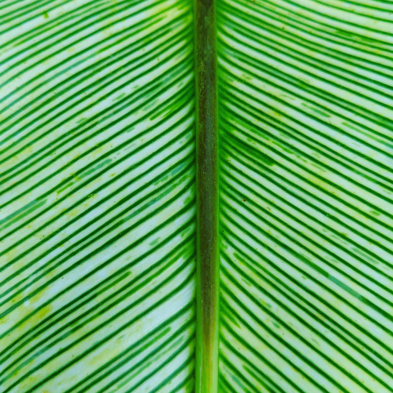 How to Create Environmental Sustainability Forum Event Logo