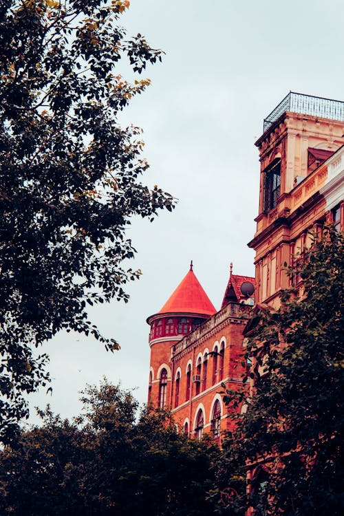 How to Get Clients for Your Long-Distance Bus Business