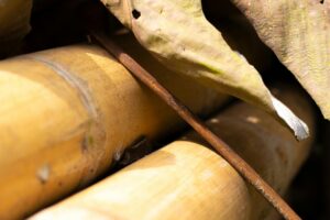 Gold Jewelry Industry Logo Design Ideas