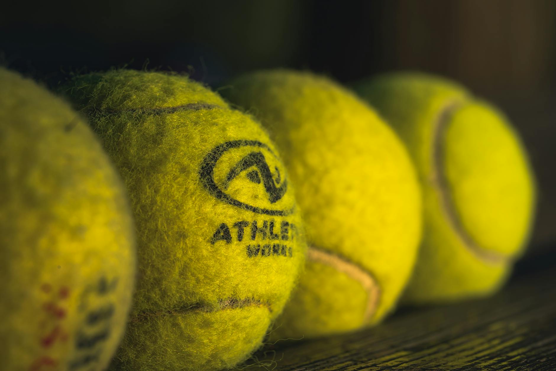 Leisure Equipment Rental Industry Logo Design Ideas