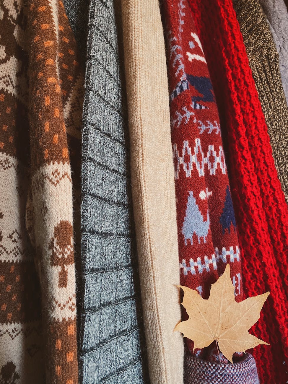 How to Create Organic Food Delivery Industry Logo