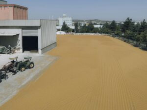 How to Get Clients for Your Grain Processing Equipment Business