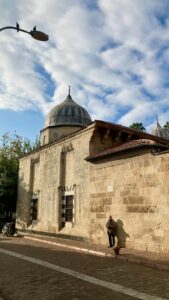 Desert Boho Style Logo Design Ideas