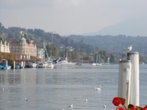 How to Create Road Bicycle Industry Logo