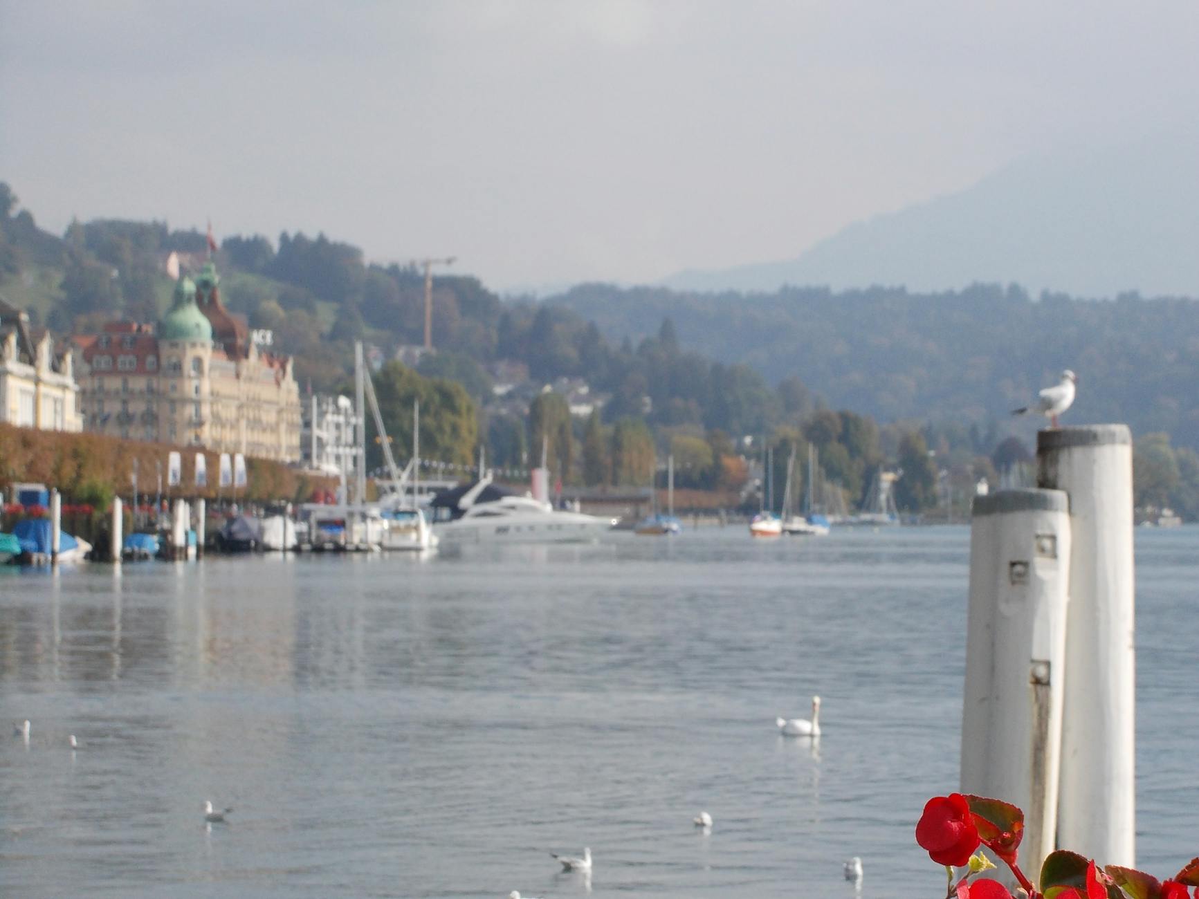 How to Create Road Bicycle Industry Logo