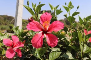 Air Traffic Control Industry Logo Design Ideas