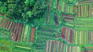 How to Get Clients for Your Agricultural Land Management Business