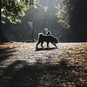 Dog Park Landscaping Industry Logo Design Ideas