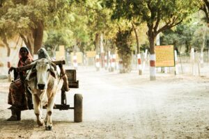 How to Get Clients for Your Livestock Transport Business