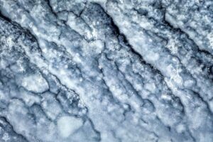 Organic Frozen Pizza Industry Logo Design Ideas