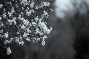 How to Get Clients for Your Facial Hair Removal Business