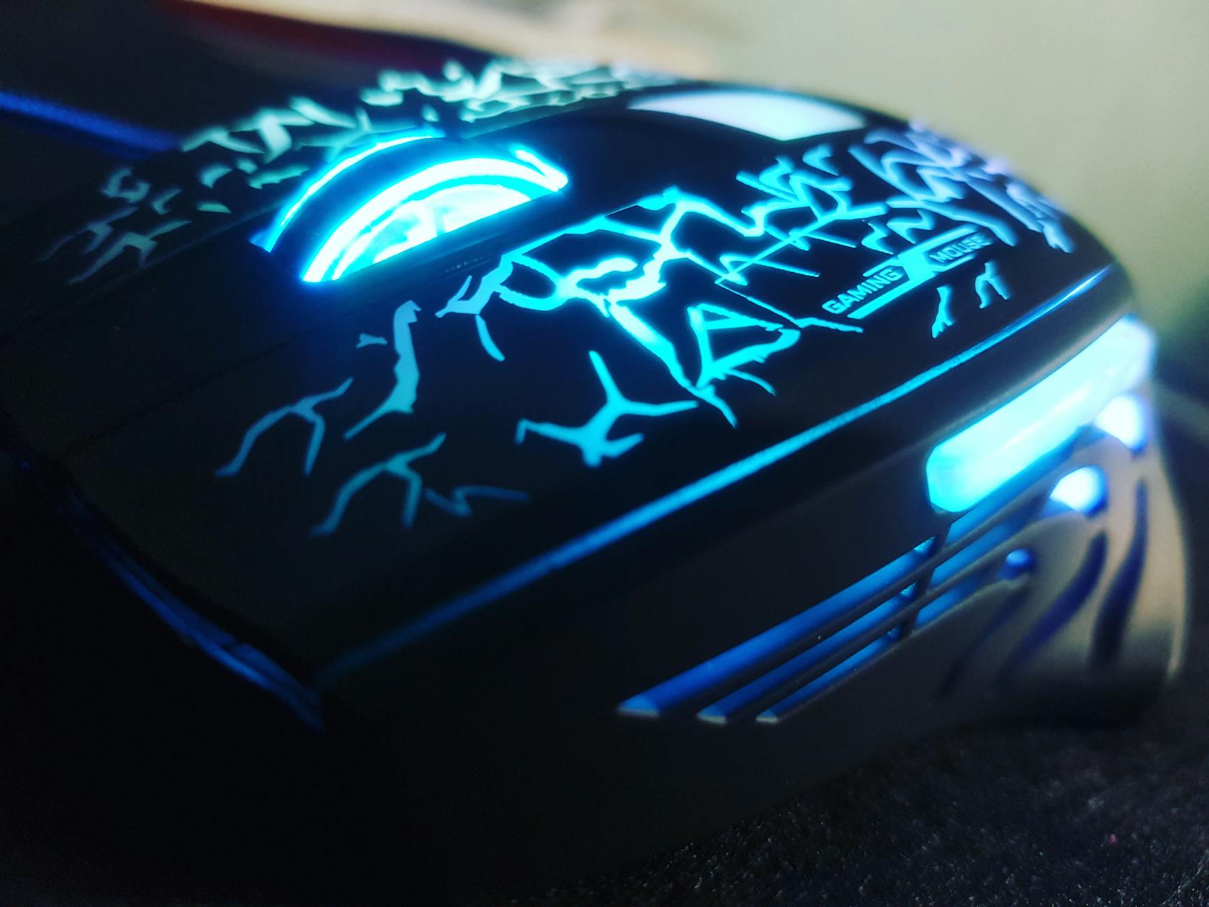 How to Get Clients for Your Canine Shelter Business