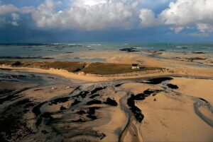 How to Create Classic French Style Logo