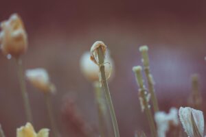 How to Create Golf Fitness Industry Logo