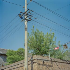 Citrus Distribution Industry Logo Design Ideas