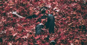 How to Get Clients for Your Social Media Analysis Business