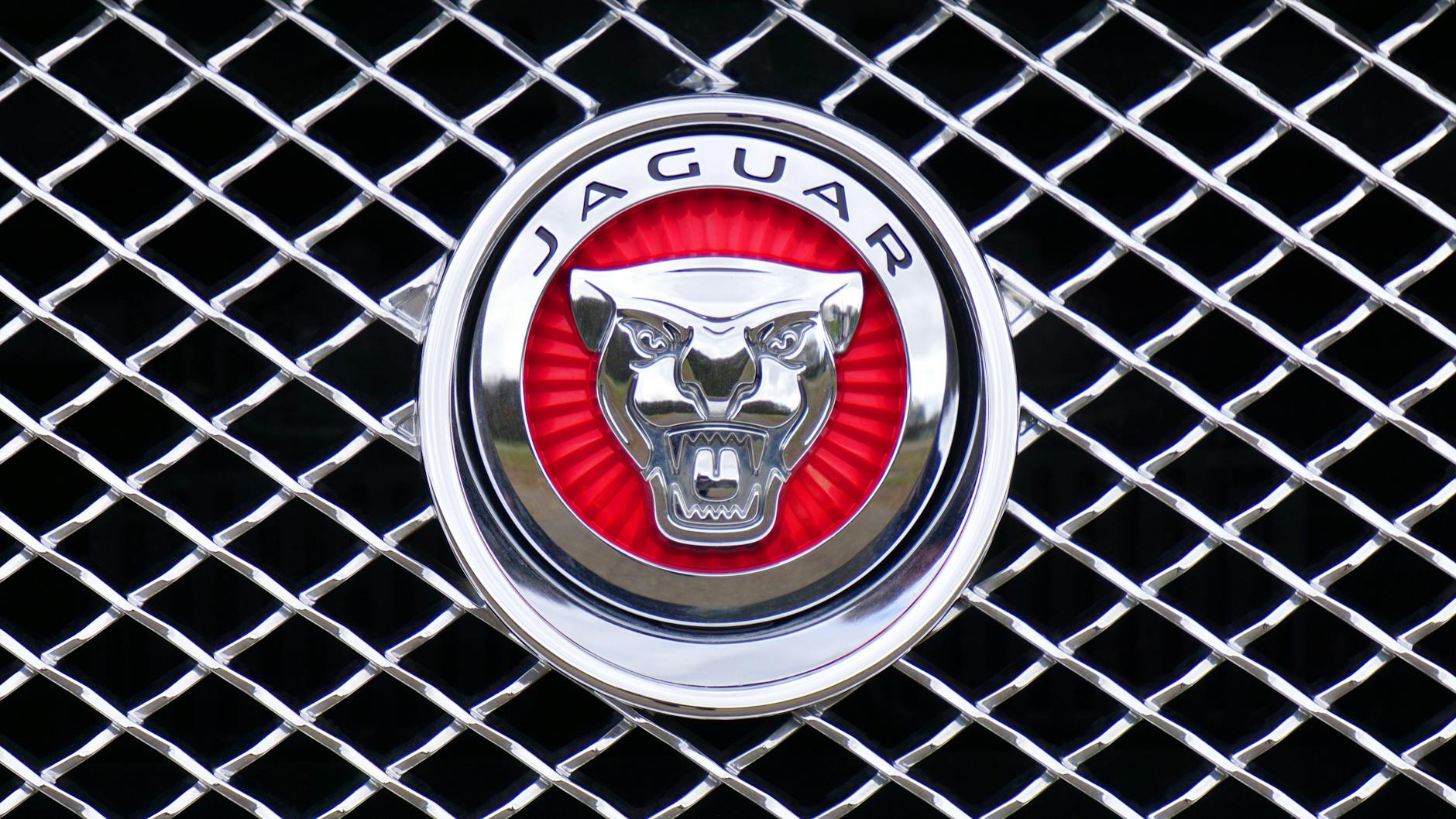 Rental Vehicle Insurance Industry Logo Design Ideas