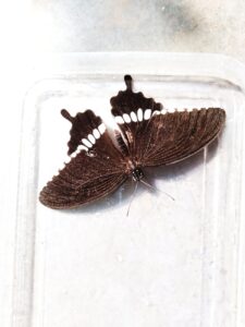 How to Get Clients for Your Precision Sheet Metal Business